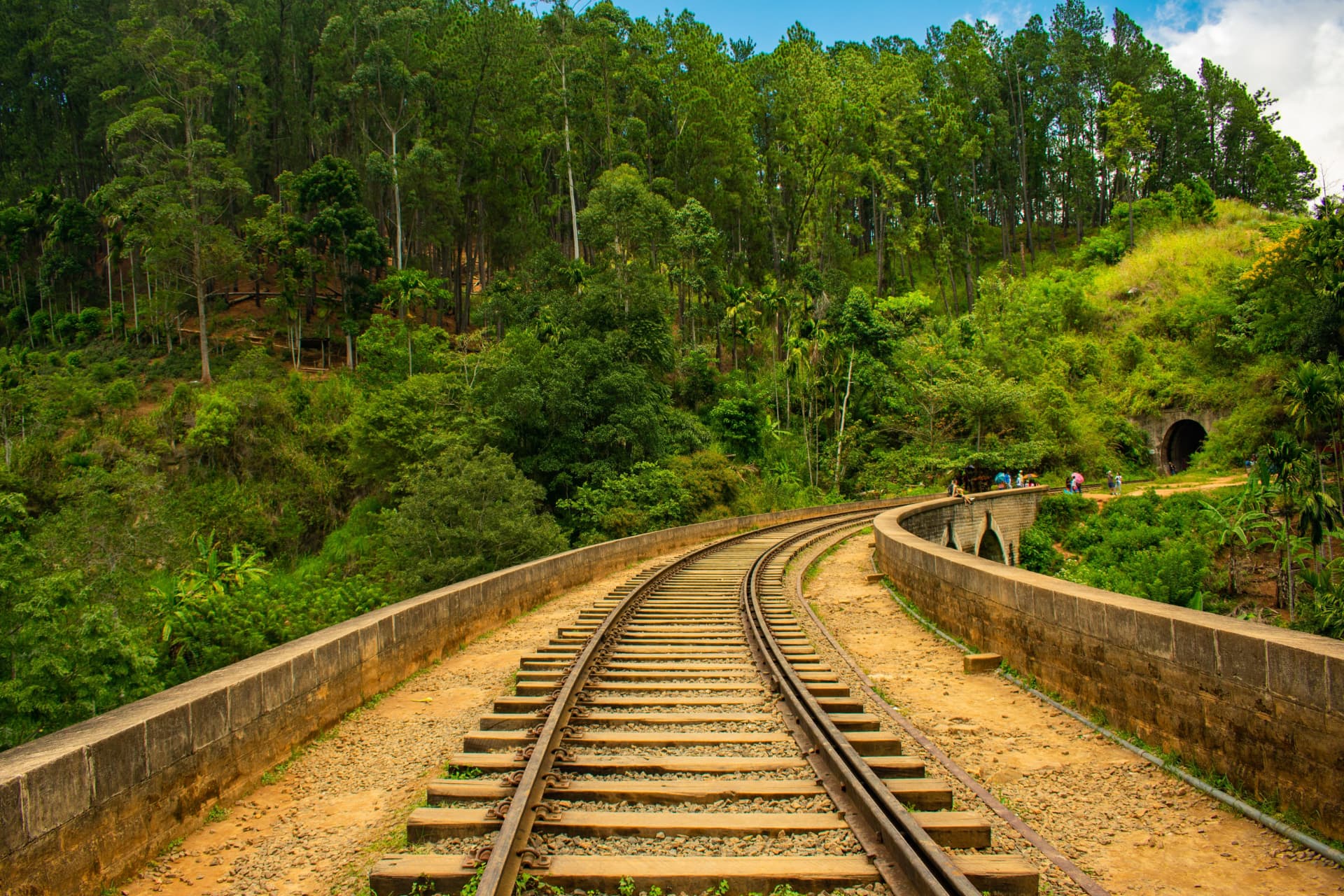 Tea Country Experience